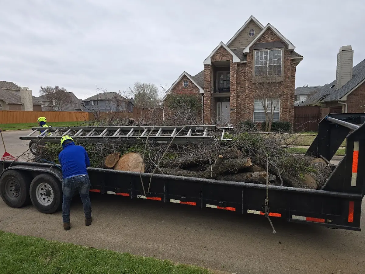Expert Tree Fertilization with proper safety equipment in Ukiah